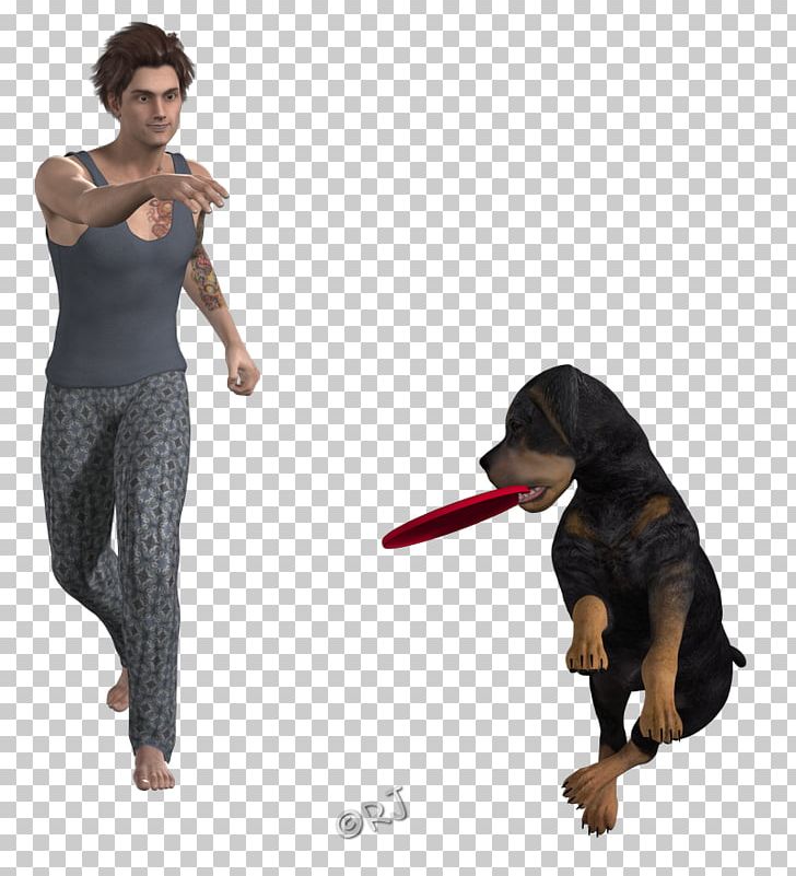 Dog Leash Canidae Pet Pants PNG, Clipart, Animals, Canidae, Dog, Dog Like Mammal, Food Drinks Free PNG Download