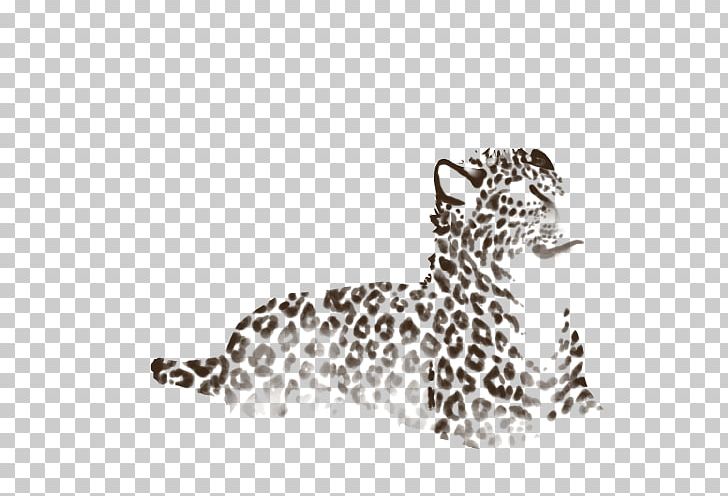 Leopard Jaguar Cheetah Whiskers White PNG, Clipart, Animal, Animal Figure, Animals, Big Cats, Black And White Free PNG Download