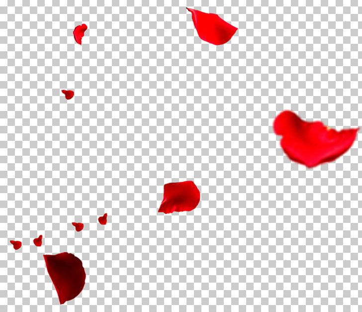 falling rose petals