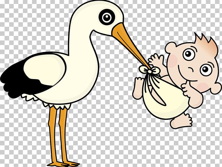 Graphics Infant Portable Network Graphics PNG, Clipart, Adam Levine, Artwork, Baby, Beak, Bird Free PNG Download