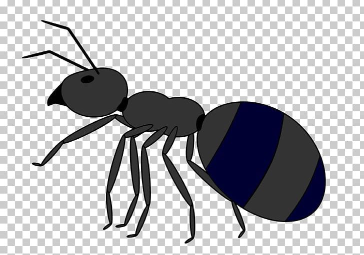 Ant Desktop PNG, Clipart, Ant, Arthropod, Artwork, Cartoon, Cartoon Universe Free PNG Download