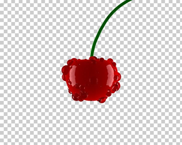 Cherry Rosaceae Fruit Plant PNG, Clipart, Blender, Cherry, Cinema 4d, Flower, Flowering Plant Free PNG Download