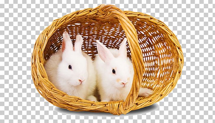 Hare Easter Bunny Rodent Domestic Rabbit PNG, Clipart, Animals, Desktop Wallpaper, Domestic Rabbit, Download, Easter Bunny Free PNG Download