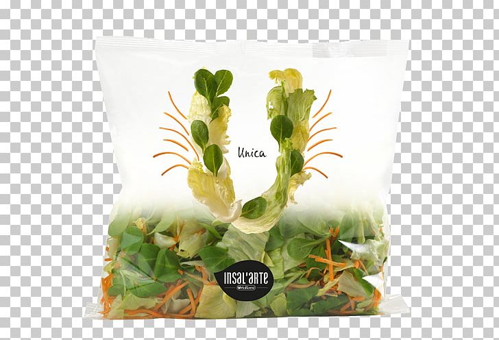 Herb Organic Food Crisp Vegetable Packaging And Labeling PNG, Clipart, Chopped Vegetables, Crisp, Dried Fruit, Food, Food Packaging Free PNG Download