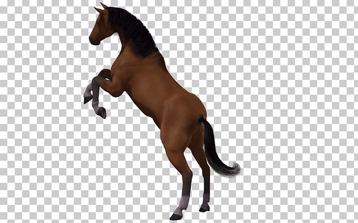 Horse 3D Computer Graphics Mane PNG, Clipart, 3d Computer Graphics, Abstract Pattern, Animals, Cartoon, Cartoon Horse Free PNG Download