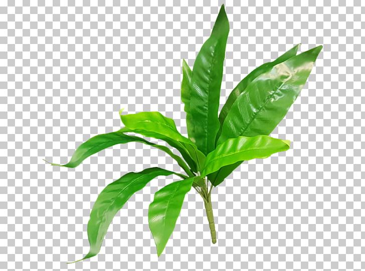 Leaf JMC Floral Artificial Flower Fern Plant Stem PNG, Clipart,  Free PNG Download