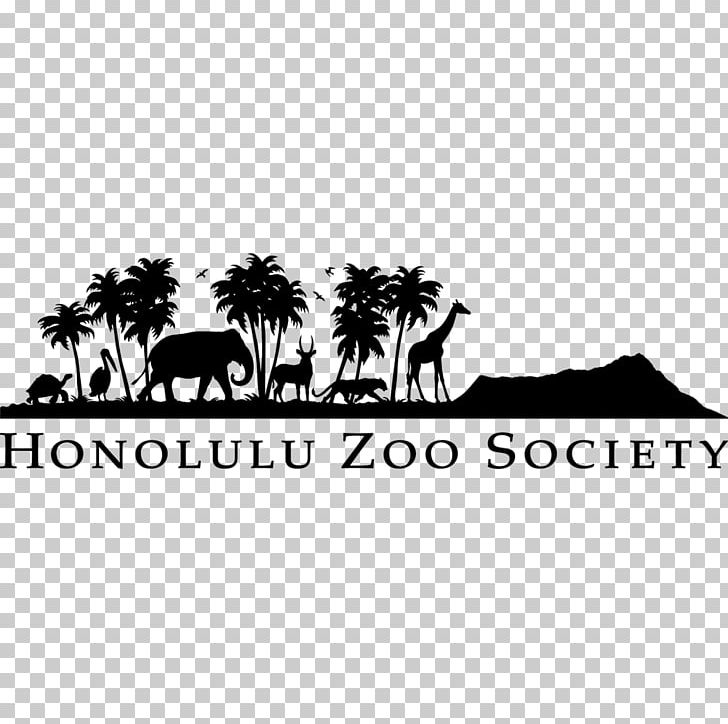 Honolulu Zoo Waikiki Sea Life Park Hawaii Public Aquarium PNG, Clipart, Animal, Area, Black And White, Brand, Hawaii Free PNG Download