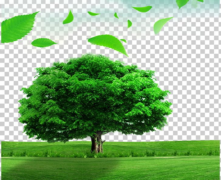 Poster Tree Material Desktop PNG, Clipart, Banner, Biome, Christmas Tree, Coconut Tree, Computer Wallpaper Free PNG Download