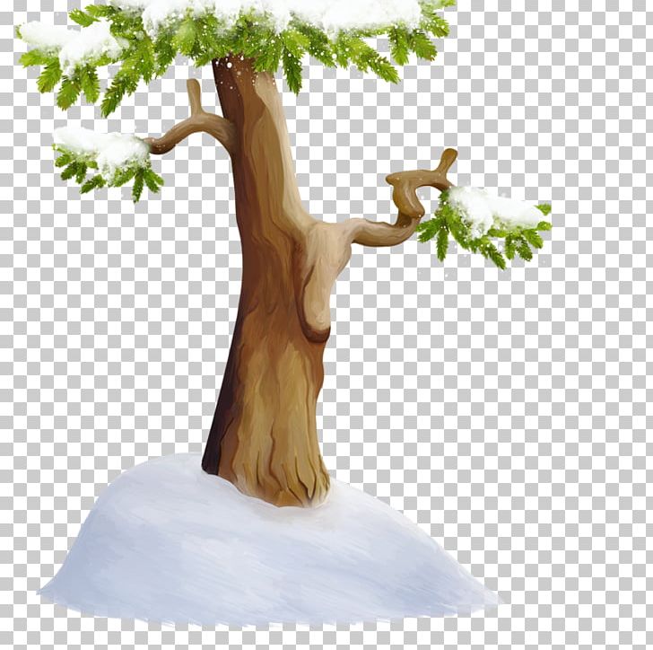 Tree Snow Wood PNG, Clipart, Arborvitae, Branch, Centerblog, Christmas Tree, Family Tree Free PNG Download