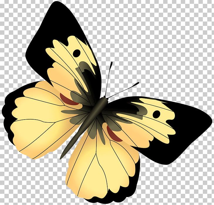 Butterfly Papillon Dog Drawing PNG, Clipart, Arthropod, Black Butterfly, Brush Footed Butterfly, Color, Desktop Wallpaper Free PNG Download