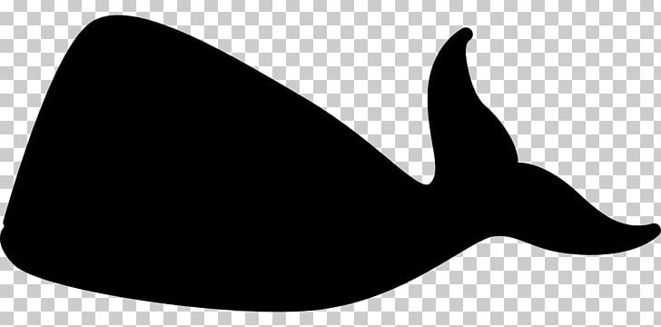 Cetacea Marine Mammal Killer Whale Beluga Whale PNG, Clipart, Animal, Beluga Whale, Black And White, Black And White Whale, Blue Whale Free PNG Download