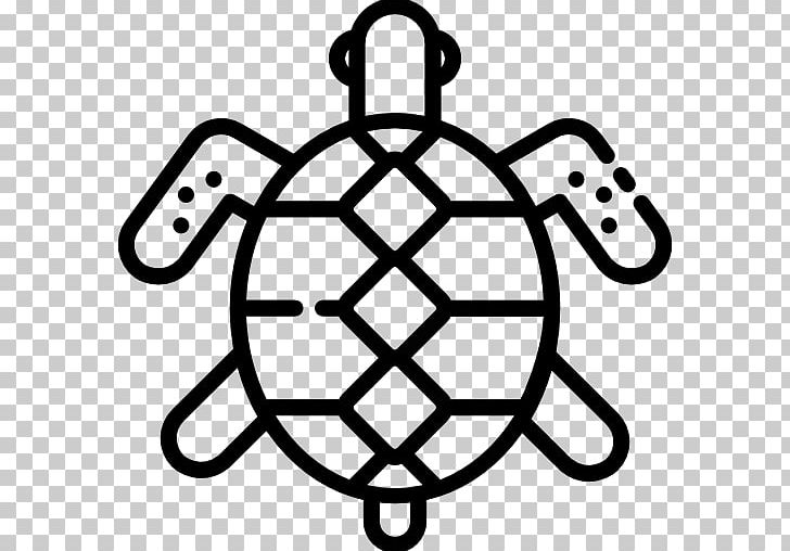 Computer Icons Turtle PNG, Clipart, Animals, Black And White, Circle, Computer Icons, Encapsulated Postscript Free PNG Download