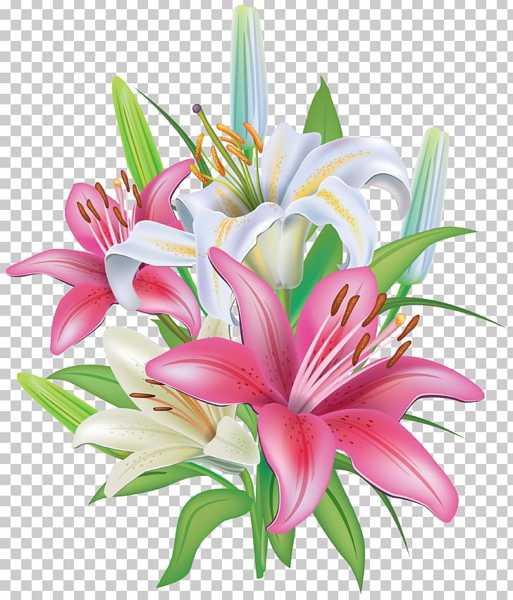 Lilium 'Stargazer' Flower PNG, Clipart, Arumlily, Clip Art, Cut Flowers, Decoration, Easter Lily Free PNG Download