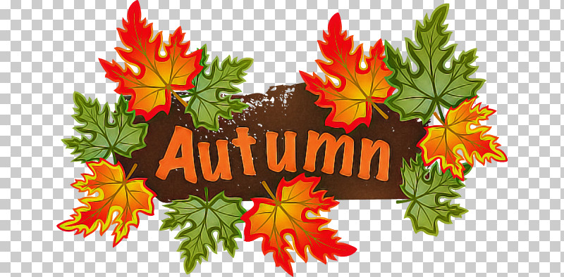 Leaf Autumn Season PNG, Clipart, Autumn, Autumn Leaf Color, Leaf, Maple, Maple Leaf M Free PNG Download