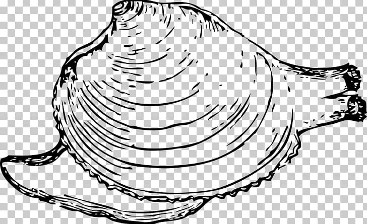 Hard Clam PNG, Clipart, Black And White, Clam, Color, Coloring Book, Drawing Free PNG Download
