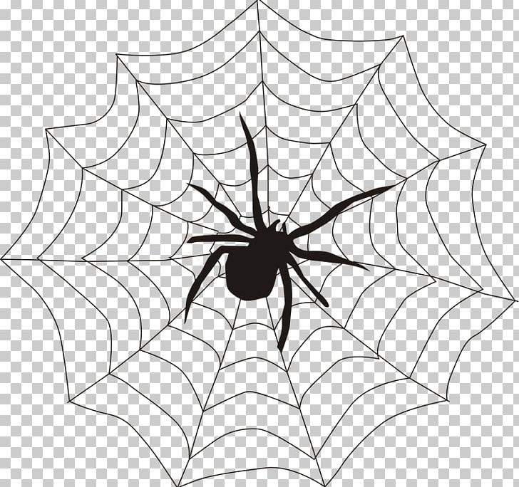 Spider Web PNG, Clipart, Arachnid, Area, Black And White, Document, Download Free PNG Download