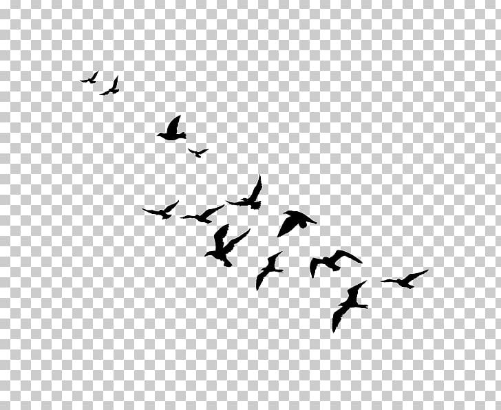 Tattoo Artist India Ink Foot PNG, Clipart, Beak, Bird, Bird Migration, Black, Black And White Free PNG Download