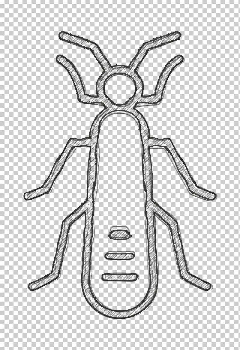 Insects Icon Stonefly Icon PNG, Clipart, Cartoon, Coloring Book, Drawing, Head, Insect Free PNG Download