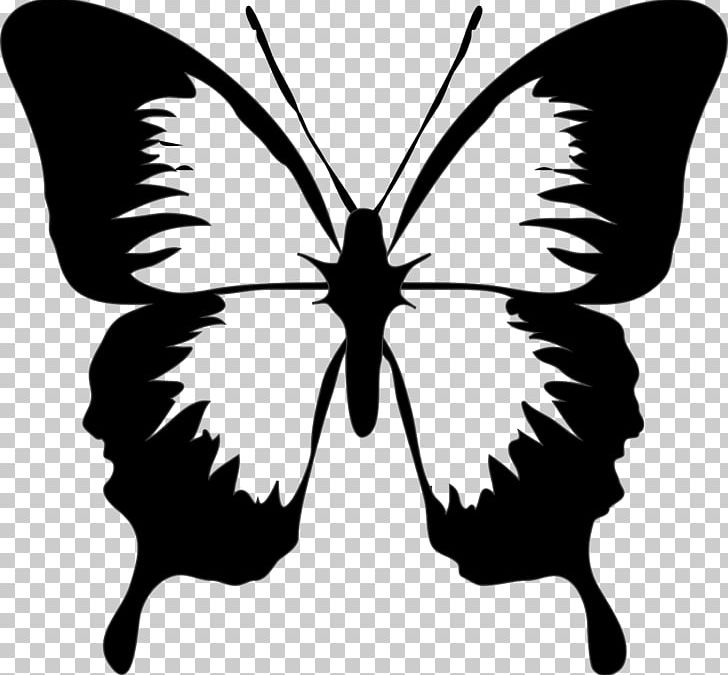 Butterfly Drawing PNG, Clipart, Art, Arthropod, Black And White, Brush Footed Butterfly, Butterfly Free PNG Download