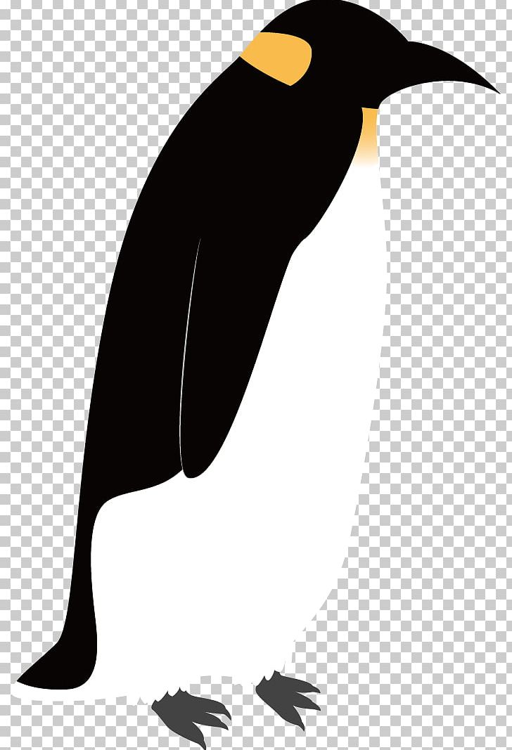 Emperor Penguin Bird Drawing PNG, Clipart, Animals, Background Black, Beak, Bird, Black Free PNG Download