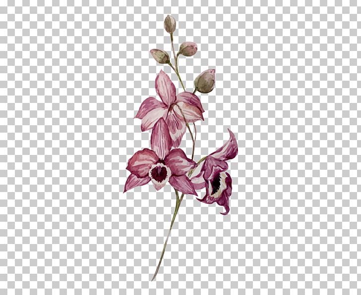 Watercolor Painting Drawing Flower Orchids PNG, Clipart, Art, Branch, Color, Cut Flowers, Drawing Free PNG Download