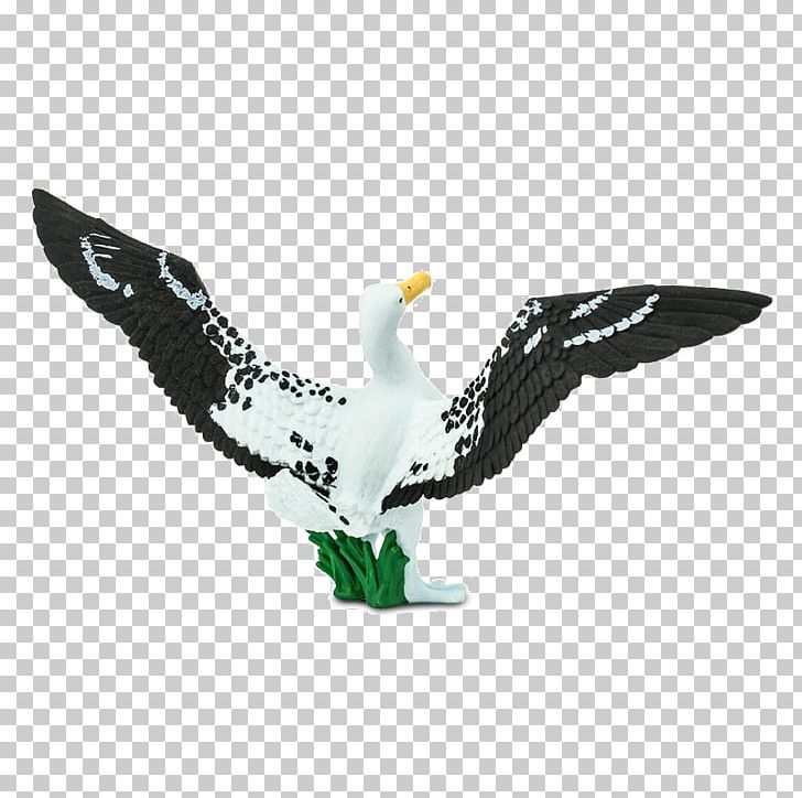 Bird Bald Eagle Great Albatross Safari Ltd Wing PNG, Clipart, Albatros, Albatross, Animal, Animals, Bald Eagle Free PNG Download