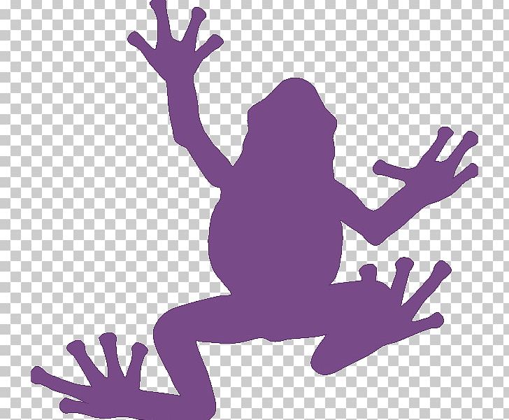Frog Silhouette PNG, Clipart, Amphibian, Animal, Art, Australian Green Tree Frog, Can Stock Photo Free PNG Download