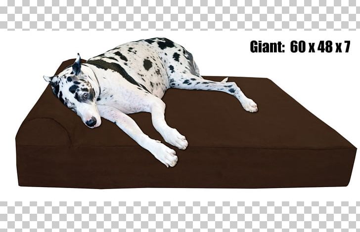 Great Dane Bed Pet Big Barker Dog Breed PNG, Clipart, Barker, Bed, Big, Breed, Carnivoran Free PNG Download