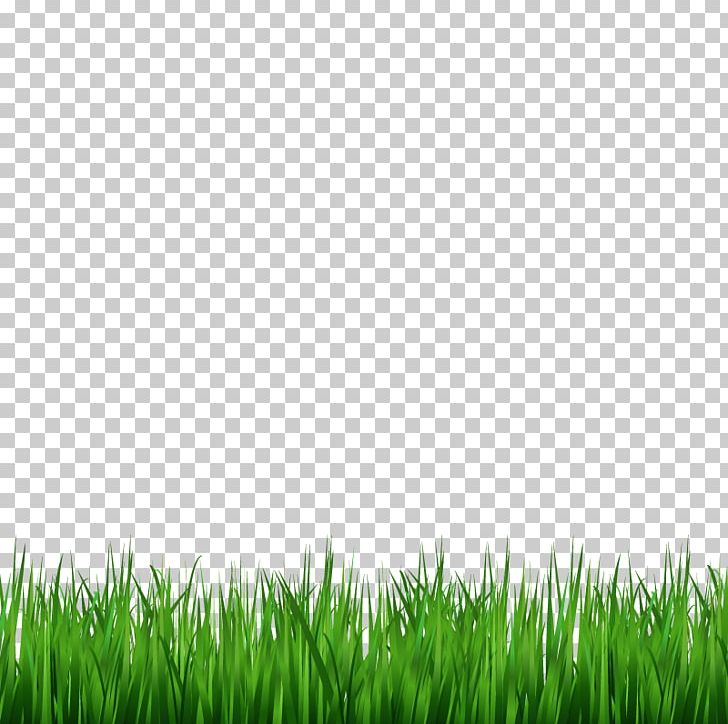 Lawn Green PNG, Clipart, Artificial Grass, Cartoon Grass, Computer Wallpaper, Creative Grass, Decorative Arts Free PNG Download