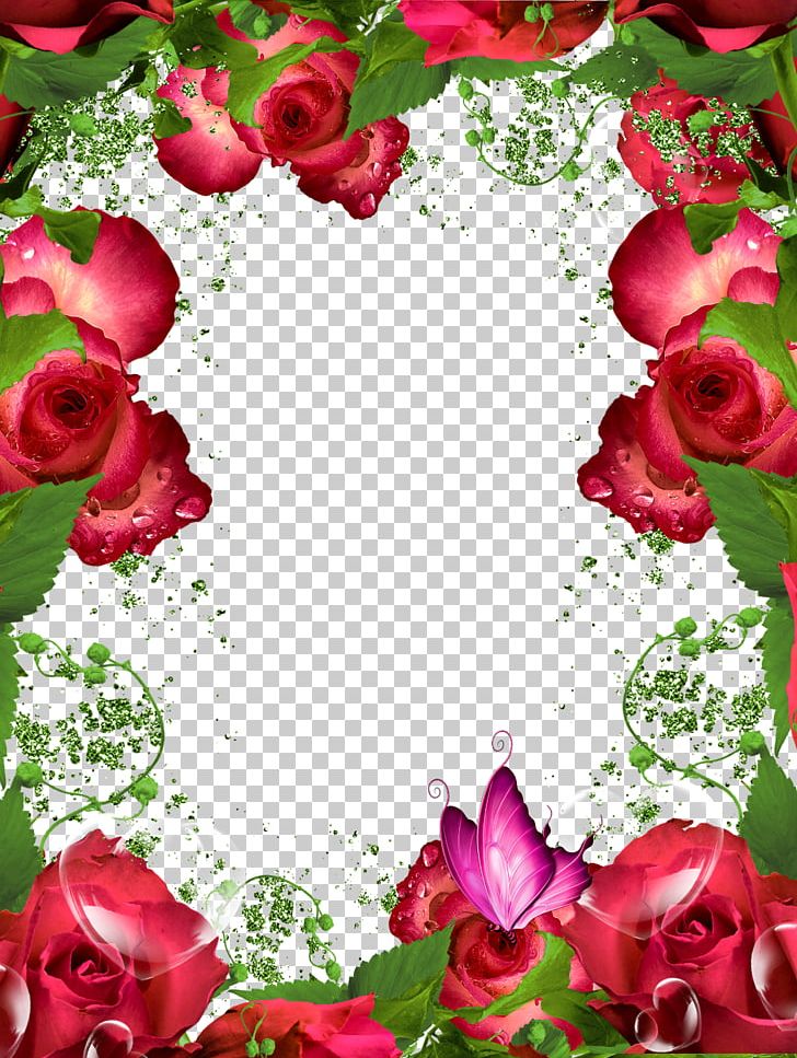 Frame Garden Roses PNG, Clipart, Cut Flowers, Download, Flora, Floral Design, Floristry Free PNG Download