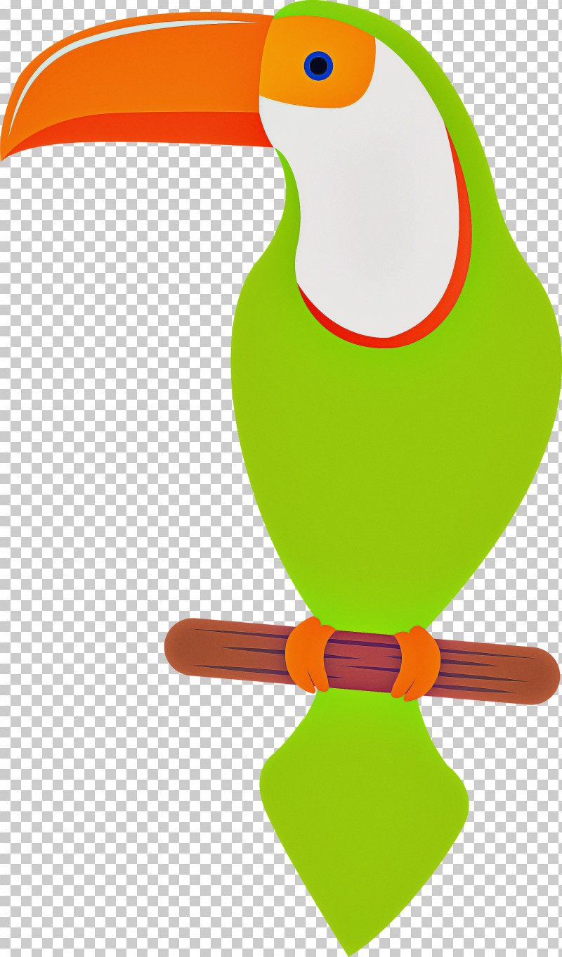 Toucans Beak Green PNG, Clipart, Beak, Green, Toucans Free PNG Download