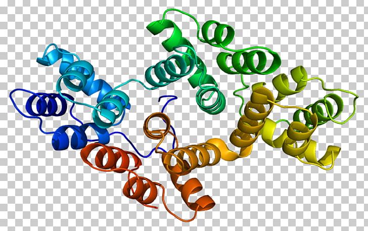 Annexin A2 Annexin A3 Annexin A5 Phospholipase A2 PNG, Clipart, Annexin A5, Area, Catabolism, Cell, Gene Free PNG Download