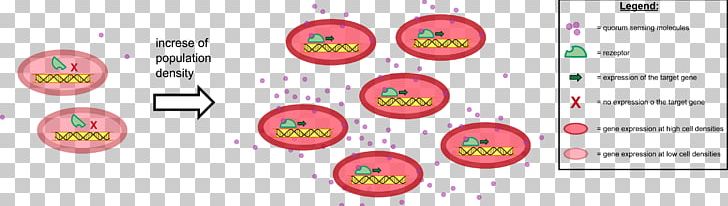 Bacteria Quorum Sensing Secretion Technology PNG, Clipart, Bacteria, Brand, Circle, Contribution, Disk Free PNG Download