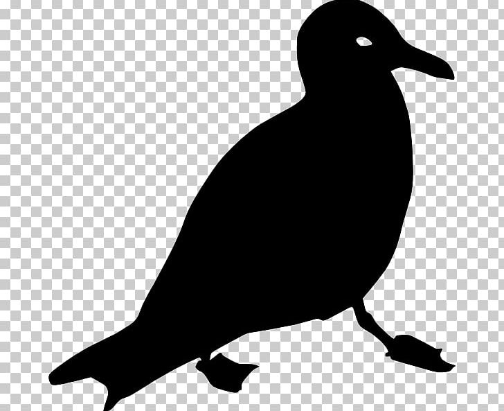 Fauna Wildlife Bird PNG, Clipart, Art, Beak, Bird, Black And White, Common Eland Free PNG Download