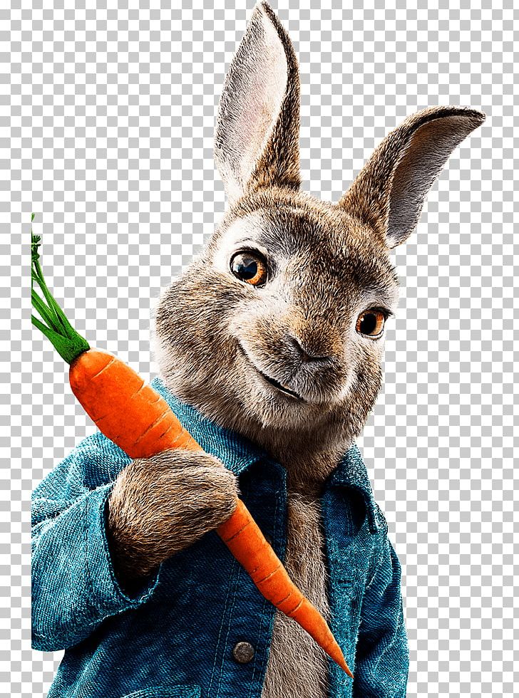 The Tale Of Peter Rabbit Mr. McGregor Meet Peter Rabbit Cinema Film PNG, Clipart, Animals, Domestic Rabbit, Easter Bunny, Ezra Koenig, Fur Free PNG Download