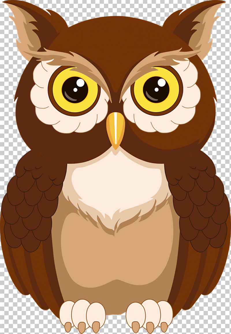Owls Birds Drawing Owl Cartoon PNG, Clipart, Birds, Cartoon, Drawing, Owl,  Owls Free PNG Download