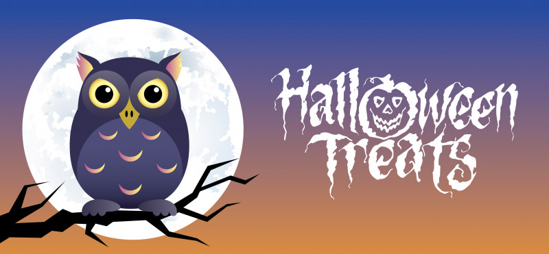 Happy Halloween PNG, Clipart, Beak, Bird Of Prey, Birds, Cartoon, Happy Halloween Free PNG Download