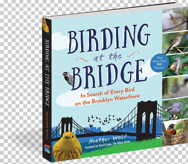 Birding At The Bridge: In Search Of Every Bird On The Brooklyn Waterfront Birdwatching Great Florida Birding Trail How To Be An Urban Birder PNG, Clipart, Advertising, Animals, Banner, Barnes, Barnes Noble Free PNG Download