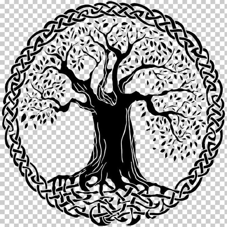 Celtic Sacred Trees Tree Of Life Celtic Art Celts PNG, Clipart, Big Cats, Black And White, Branch, Carnivoran, Cat Like Mammal Free PNG Download