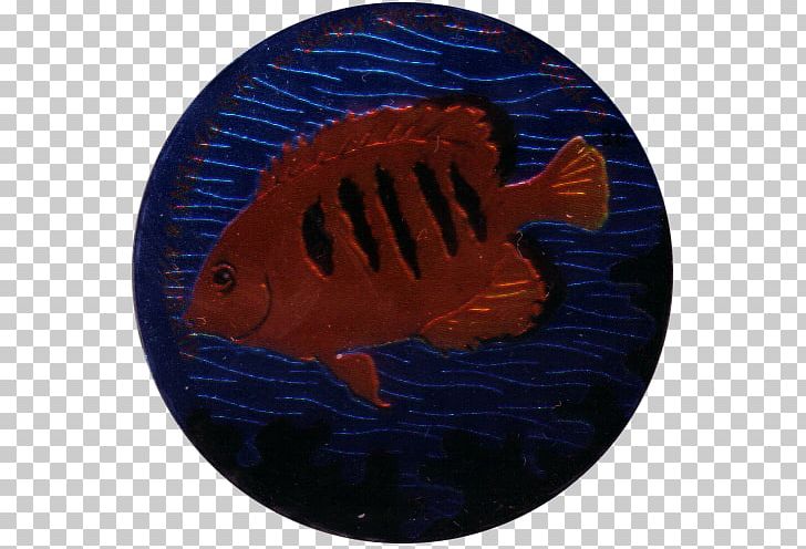 Marine Biology Fish PNG, Clipart, Biology, Electric Blue, Fish, Marine Biology, Orange Free PNG Download
