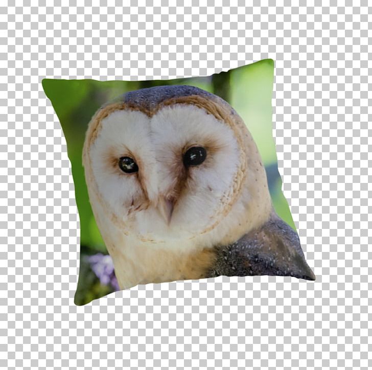 Owl Throw Pillows Cushion Beak PNG, Clipart, Barn Owl, Beak, Bird, Bird Of Prey, Cushion Free PNG Download