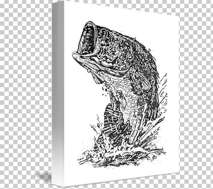 Sketch Cat Amphibians Illustration Fauna PNG, Clipart, Amphibian, Amphibians, Animals, Art, Big Cat Free PNG Download