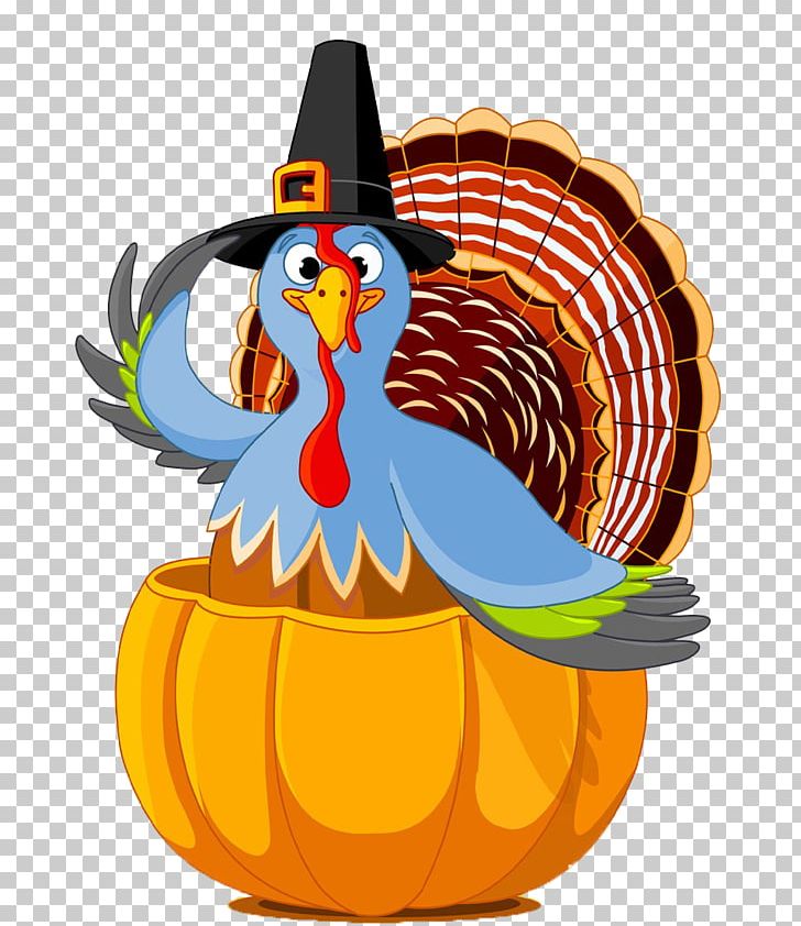 Thanksgiving Day Public Holiday Turkey PNG, Clipart, Beak, Bird, Buckle, Chicken, Decorative Free PNG Download