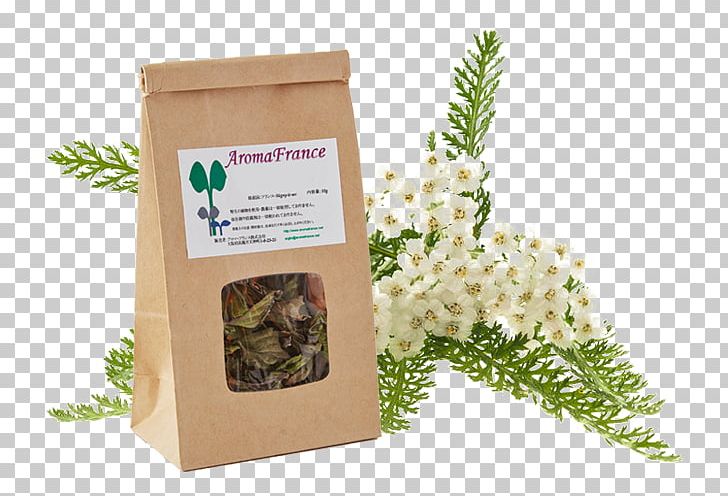 Yarrow Stock Photography Plant PNG, Clipart, Achillea Millefolium, Alamy, Astringent, Common Nettle, Flower Free PNG Download