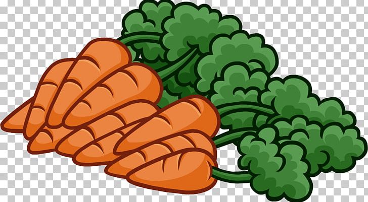 Carrot Free Content PNG, Clipart, Baby Carrot, Blog, Bunch, Bunch Cliparts, Carrot Free PNG Download