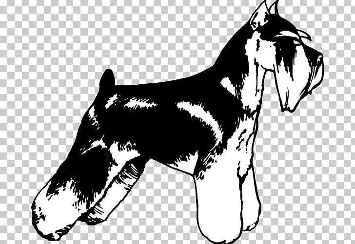 Dog Breed Miniature Schnauzer Decal PNG, Clipart, Art, Black And White, Breed, Carnivoran, Decal Free PNG Download