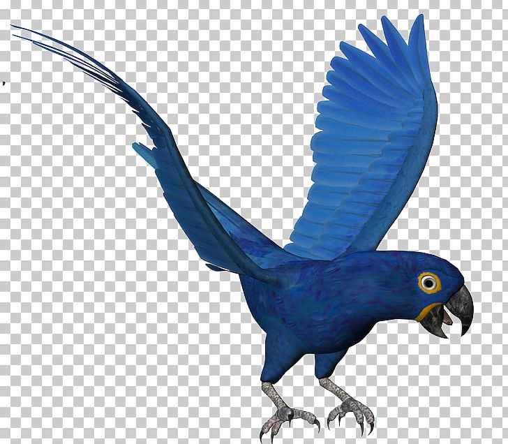 Macaw Parrot Bird Parakeet Feather PNG, Clipart, Animal, Animal Figure, Animals, Beak, Bird Free PNG Download