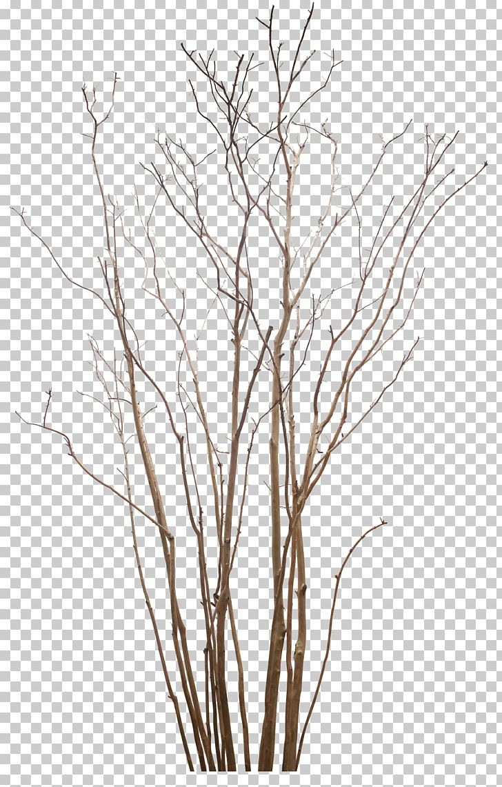 Tree Plant Encapsulated PostScript PNG, Clipart, Black And White, Branch, Clip Art, Dead Tree, Download Free PNG Download