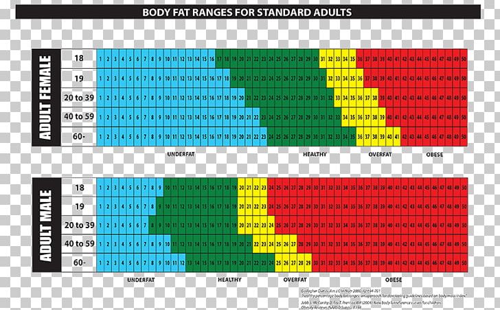 Body Fat Percentage Adipose Tissue Human Body Chart PNG, Clipart, Adipose Tissue, Basal Metabolic Rate, Body Composition, Body Fat Percentage, Body Mass Index Free PNG Download