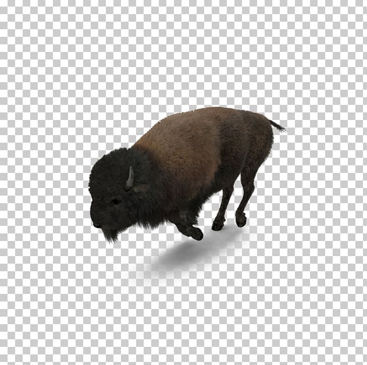 Buffalo American Bison PNG, Clipart, 3d Computer Graphics, America, Animal, Animals, Athlete Running Free PNG Download